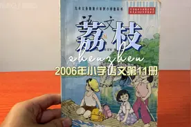 童年记忆：2006年小学六年级语文第11册第6课《荔枝》视频封面