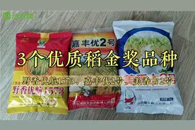 推荐3个优质稻金奖品种，米饭好吃，要米质有米质，要产量有产量视频封面