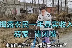 湖北农村人多地少，公开揭露一年真实收入有多少，看完别不信…视频封面