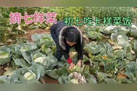 潮汕习俗，正月初七吃七样菜饭，农村小伙和媳妇去菜园，摘七样菜视频封面