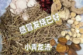 yang发烧感冒喉咙痒，咳嗽，伤寒论张仲景小青龙汤倪海厦老师讲解视频封面