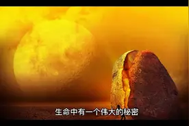 得到你想要的一切的秘密视频封面