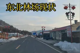 真实东北林场春天啥样？大街上一个人都没有，都没几家烟筒冒烟的视频封面