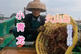 龙虾中的精品：小青龙，湛江（硇洲岛）特有品种，捕捞十几斤。视频封面
