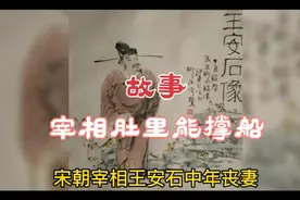 宰相王安石丧妻取妾，自古奸情出人命，宰相做法令人钦佩视频封面