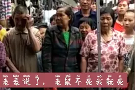 广西老表卖老鼠药   他的老鼠成精了？谁知道他是怎么训练老鼠的视频封面