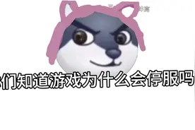 《游戏停服的原因》全体默哀3分钟😔视频封面