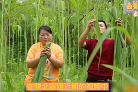 霞姐让老公出镜，是和胖星星分道扬镳了吗？