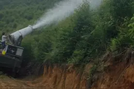 禁桉、灭桉视频封面