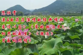 请您欣赏 冷漠&云菲菲演唱的经典情歌 五首连唱 抒情动听 原创视频封面