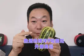 糖友给老王寄来了熟透的博洋9号甜瓜，一口气吃完一个升糖高吗？视频封面