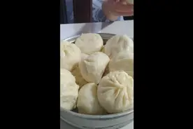 家庭版纯手工鲜肉大包子，500面粉，5克泡打粉，5克发酵粉。视频封面
