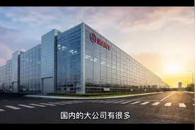 新疆首富资产上交国家，不给孩子。视频封面