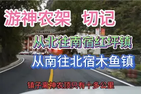 自驾游湖北。神农架沿途风景及攻略视频封面