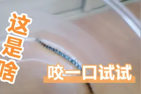家里出现蜈蚣有什么说法？视频封面