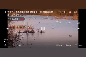 如果有一天不再陪你图片