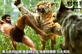 印度阿三大战老虎视频封面