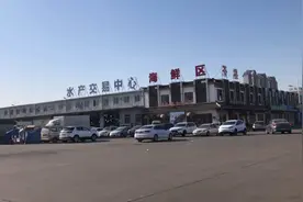 逛天津北辰最大水产交易市场，清江鱼13一斤，鲈鱼18一斤挺实惠视频封面