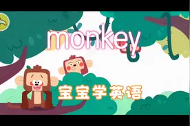宝宝学英语，猴子（monkey）我们一起来学习英语单词“monkey”视频封面