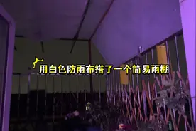 给露台搭了简易雨棚，希望挡雨又不遮光，正好今天下雨来看看效果视频封面