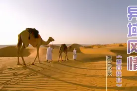 全球顶级纯音乐，阿拉伯经典名曲《望穿秋水》，异域风情