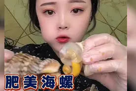 分享一下海螺的正确吃法。肥美的螺肉超鲜美，非常的有嚼劲视频封面