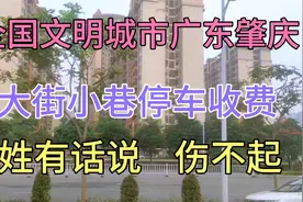 全国文明城市广东肇庆，大街小巷都停车收费，百姓有话说视频封面
