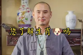 您了解生肖狗的人吗视频封面