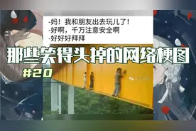 这是什么蛇？被咬了没事吗？那些笑得头掉的网络梗图#20