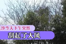 长沙今天气温很高，没想到下午却突然刮起了大风，挺吓人的视频封面