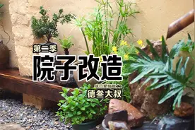 手把手教你做一个户外花架视频封面