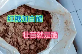 红糖加白醋，不仅能增产增收，而且还能防虫治病，适用于各种作物视频封面