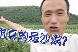 甘肃真的是黄土高原？南方朋友一直蒙在鼓里，二蛋带你一起了解视频封面