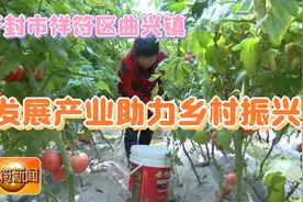 开封市祥符区曲兴镇大蔡村：发展产业助力乡村振兴视频封面