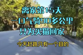 骑三轮车带休学女儿穷游第15天，一口气骑90多公里只为买猫回家视频封面