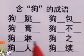 巧填成语，一共8个含“狗”的成语，全部填对是天才，你会几个？视频封面