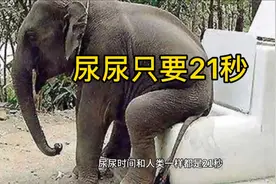 （30）尿尿只要21秒，不信试试？视频封面