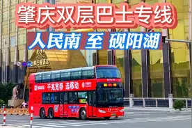 旅游专线：肇庆双层巴士，人民南至砚阳湖站，第一人称视角看风景