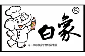 国货崛起，白象方便面简介视频封面