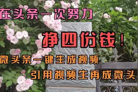 52.64元的爆款微头条，如何图文成片，一键生成视频？视频封面