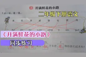 二年级下册语文《开满鲜花的小路》同步练习，同音字也不难。视频封面