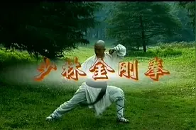 少林正宗功夫：大力金刚拳，硬气功视频封面