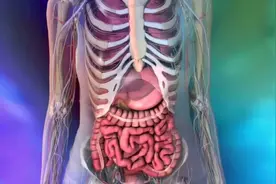胃破了竟然这么危险，胃穿孔的原因和治疗方法，3D演示。。视频封面