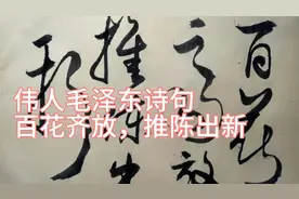 伟人毛泽东百花齐放，推陈出新。让人寻味。视频封面