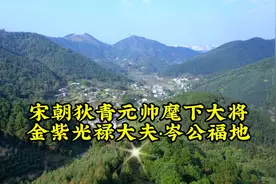 广西岑氏始祖宋朝古墓，官封金紫光禄大夫，殿前怀远武卫大将军视频封面