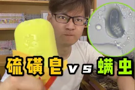 硫磺皂能不能消灭脸上的螨虫！小伙怒抓一只螨虫来实验！