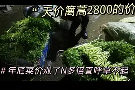 年底蔬菜涨了几倍！莲藕8块一斤篱蒿2800的价究竟是谁在涨价？视频封面