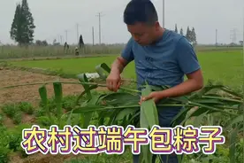芦苇荡里采粽叶，一家人在一起端午节包粽子，几种馅儿味道好视频封面