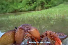 原始生存技能，夫妻竹筒装蚯蚓捕获大螃蟹。又可以饱餐一顿了视频封面