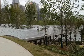 合肥石台路公园视频封面